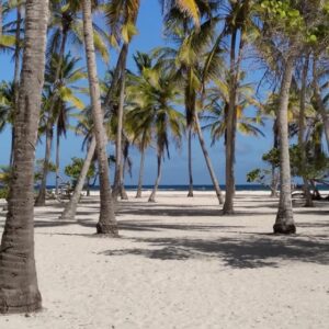 Cayo Sombreo - Tucacas