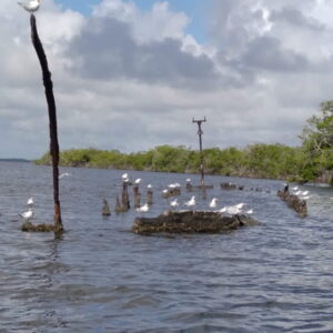 Barco hundido Falcon